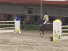 jumper Eddie Murphy 8 (Hanoverian, 2004, from El Bundy)