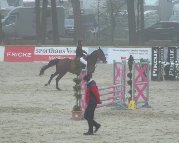 Reitturnier Westergellersen 2021