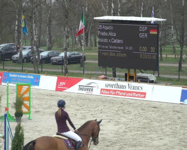 Reitturnier Westergellersen 2021