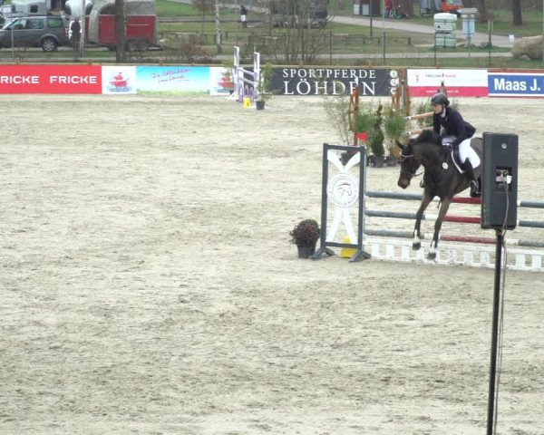 Reitturnier Westergellersen 2021