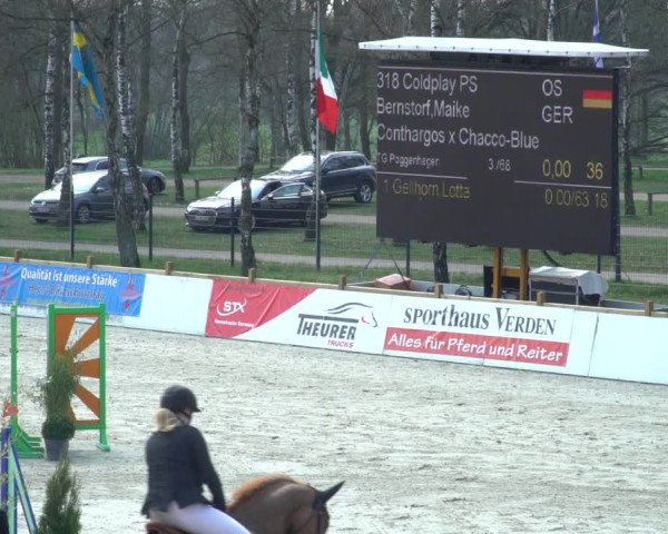 Reitturnier Westergellersen 2021