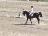 dressage horse Flash Dance 45 (Oldenburg, 2000, from Fabriano)