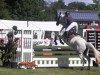 jumper Martchen (Trakehner, 2006, from Gribaldi)