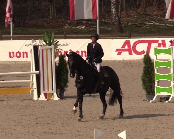 Reitturnier Westergellersen 2021