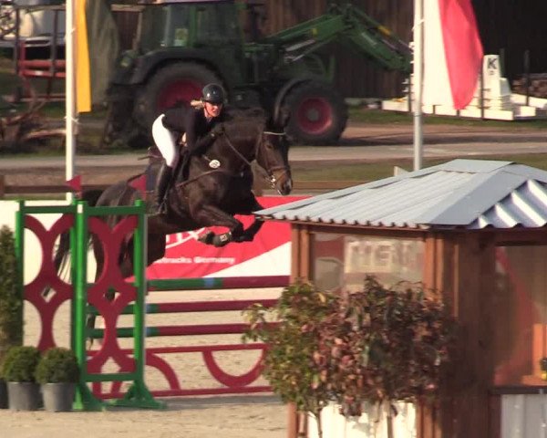 Reitturnier Westergellersen 2021