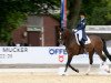 dressage horse Dynamico 7 (Hanoverian, 2005, from Don Primero)