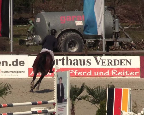 Reitturnier Westergellersen 2021