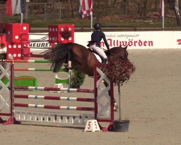Reitturnier Westergellersen 2021