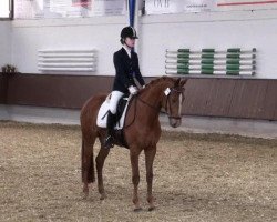 dressage horse Little sweet Poison (Hanoverian, 2001, from Londonderry)