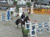 jumper Colando (KWPN (Royal Dutch Sporthorse), 2007, from Colandro)