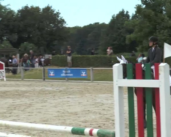 horse Prisca 99 (Oldenburg show jumper, 2005, from Paramo K)