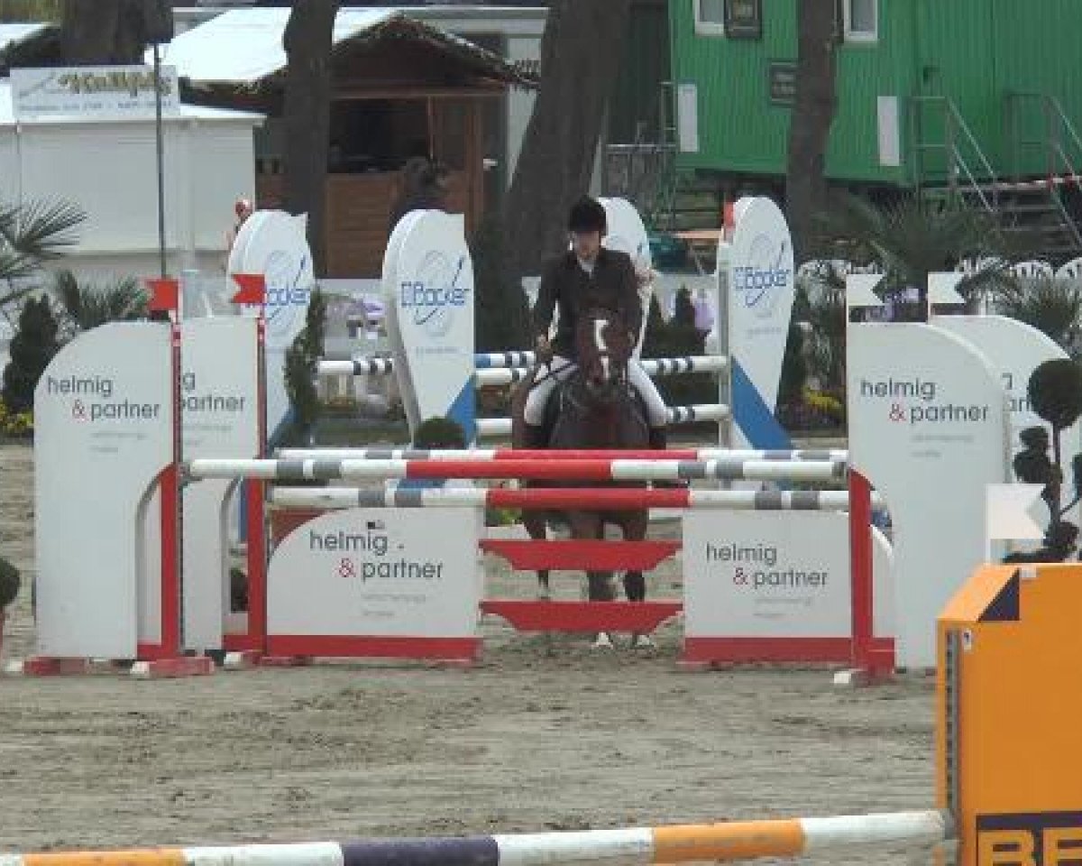 Springpferd Grautvornix 4 (Westfale, 2006, von Grand Coeur)