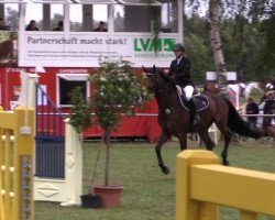 jumper El Pacino (Hanoverian, 2006, from Escudo I)