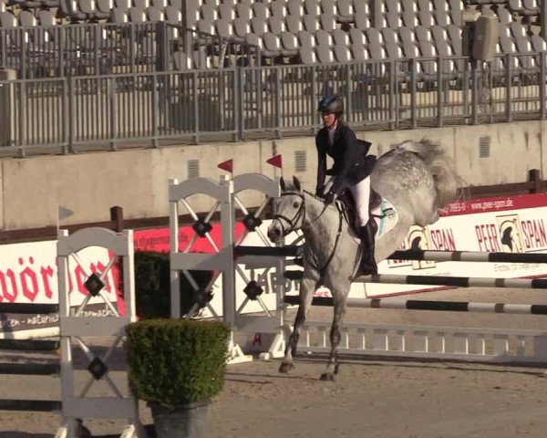 Reitturnier Westergellersen 2021