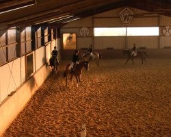 dressage horse Ams Belle Fleur D (German Riding Pony, 2006, from Amarillys Sensation D)