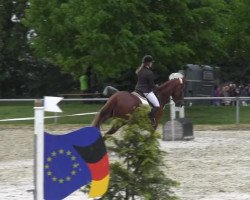 jumper Rio de Janeiro 19 (Hanoverian, 2006, from Royal Blend)