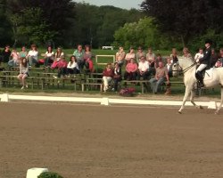 dressage horse Uranio 6 (Pura Raza Espanola (PRE), 1999, from Oreado II)