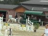 jumper Acira 3 (Hanoverian, 1998, from Amoroso)