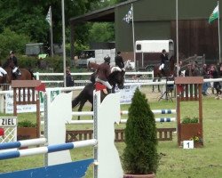 jumper Exitos Little Sister (Hanoverian, 2005, from Escudo I)