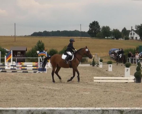 dressage horse Alf 158 (German Riding Pony, 1995, from Amarillys Sensation D)