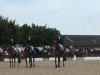 dressage horse Ferdinand 248 (German Warmblood, 1988, from Ferman)