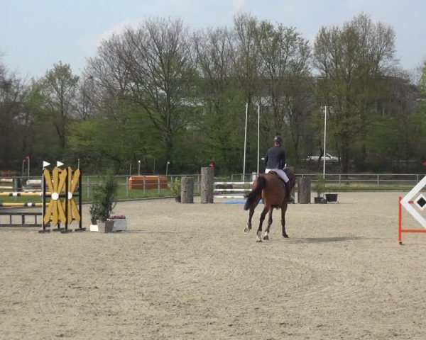 Reitturnier Langenfeld - Gut Langfort 2021