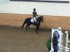 dressage horse Speedy 327 (Westphalian, 2003, from Show Star)