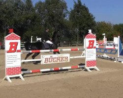 jumper Lovely Charmeur (German Sport Horse, 2005, from Lehnbach)