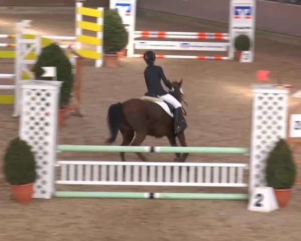 jumper Melodie 314 (German Riding Pony, 2003, from Mentos)