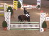 jumper Melodie 314 (German Riding Pony, 2003, from Mentos)