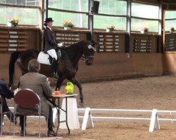 dressage horse Up to Top 2 (Westphalian, 1999, from Upan la Jarthe AA)