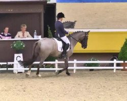 broodmare Diewirdnochwas (German Riding Pony, 2000, from FS Don't Worry)