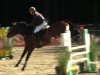 jumper Eternity 45 (Hanoverian, 2004, from El Bundy)