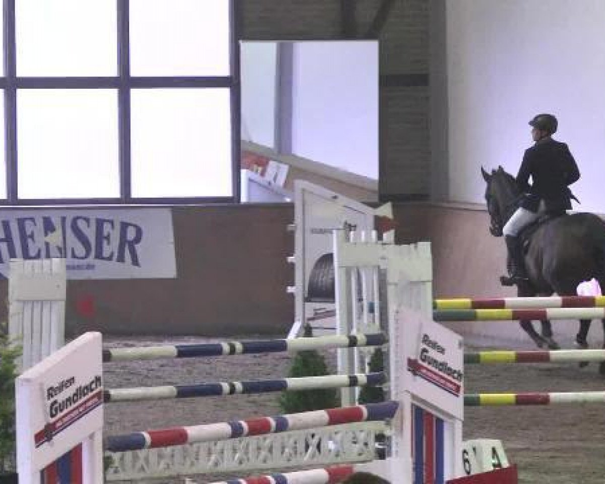 jumper Celebration (Sachse, 2002, from Competent)