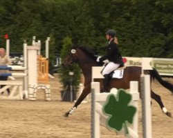 dressage horse Stanley 119 (Westphalian, 2002, from Show Star)