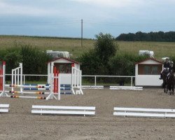 dressage horse Windhook 4 (Westphalian, 2001, from Weltruf)