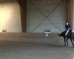 dressage horse Frangipani 4 (Westphalian, 1998, from Florestan I)