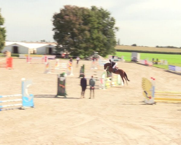 Springreitturnier Hohburg 2021