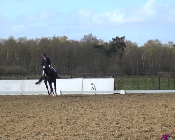Reitturnier Bremervörde/Reitsportzentrum 2021