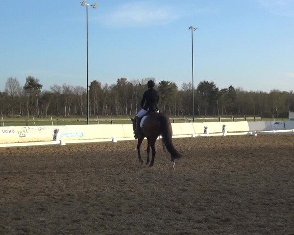 Reitturnier Bremervörde/Reitsportzentrum 2021