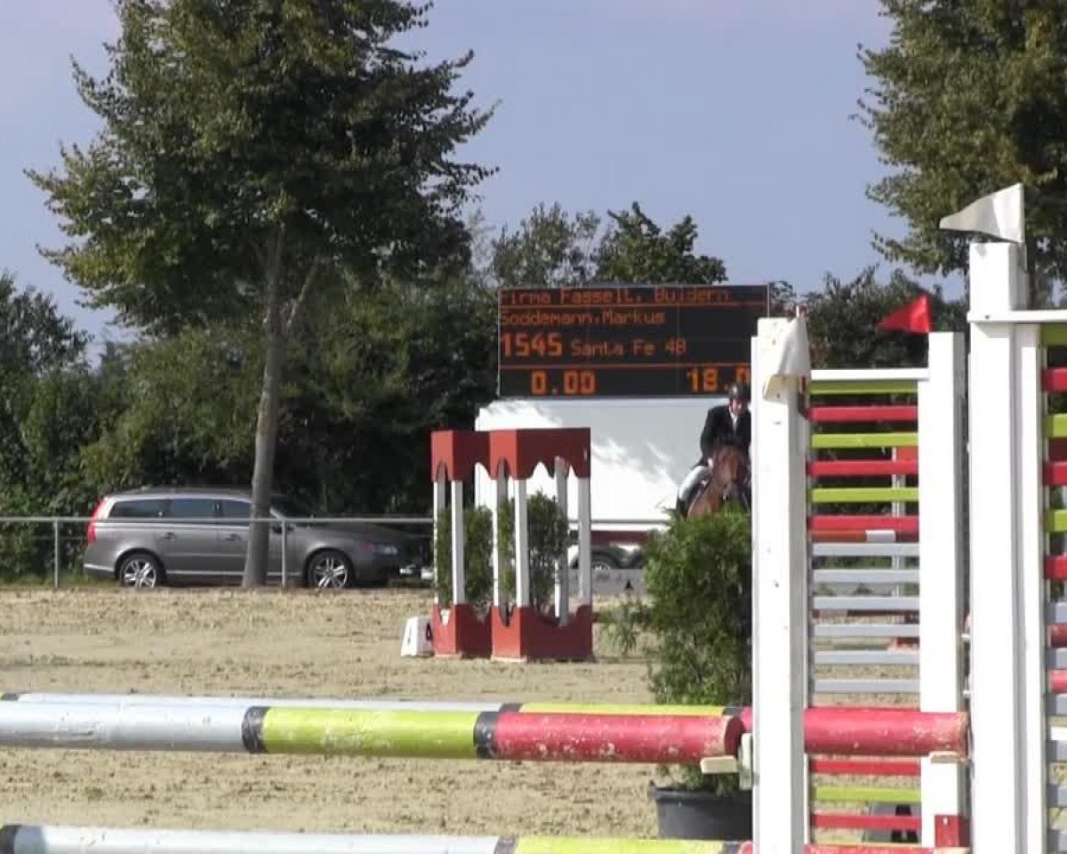 Zuchtstute Santa Fe 48 (Westfale, 1997, von Salinator)