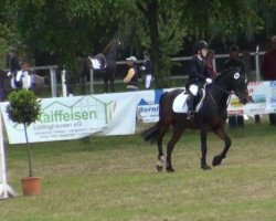 dressage horse Silver 66 (German Riding Pony, 1991, from Silvertop's As)