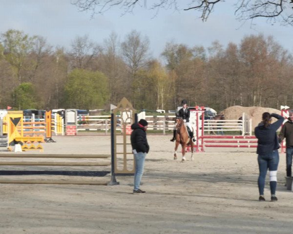 Reitturnier Handorf 2021