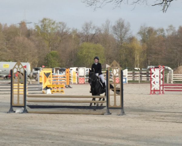 Reitturnier Handorf 2021