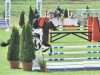 jumper Co Jack 3 (German Sport Horse, 2006, from Cassandro 10)