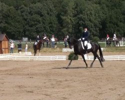 dressage horse Waukidu (Hanoverian, 2001, from Warkant)