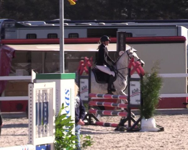 Reitturnier Ladelund 2021