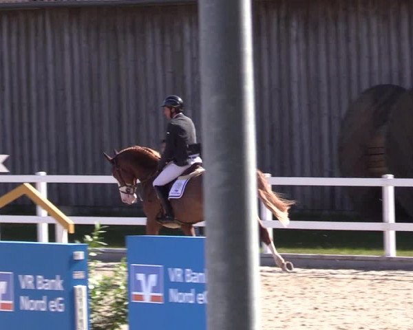 Reitturnier Ladelund 2021