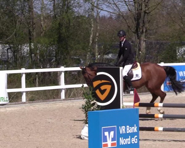 Reitturnier Ladelund 2021