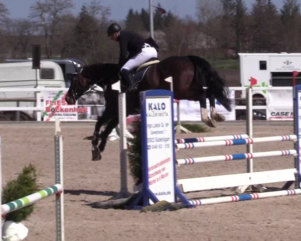 Reitturnier Ladelund 2021